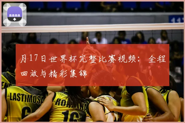 月17日世界杯完整比赛视频:全程回放与精彩集锦