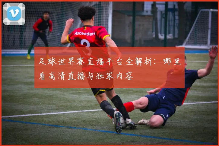 足球世界赛直播平台全解析:哪里看高清直播与独家内容